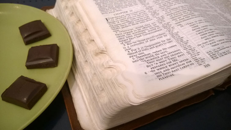 Hebrews 10 Bible with Endangered Species Dark Forest Mint Chocolate